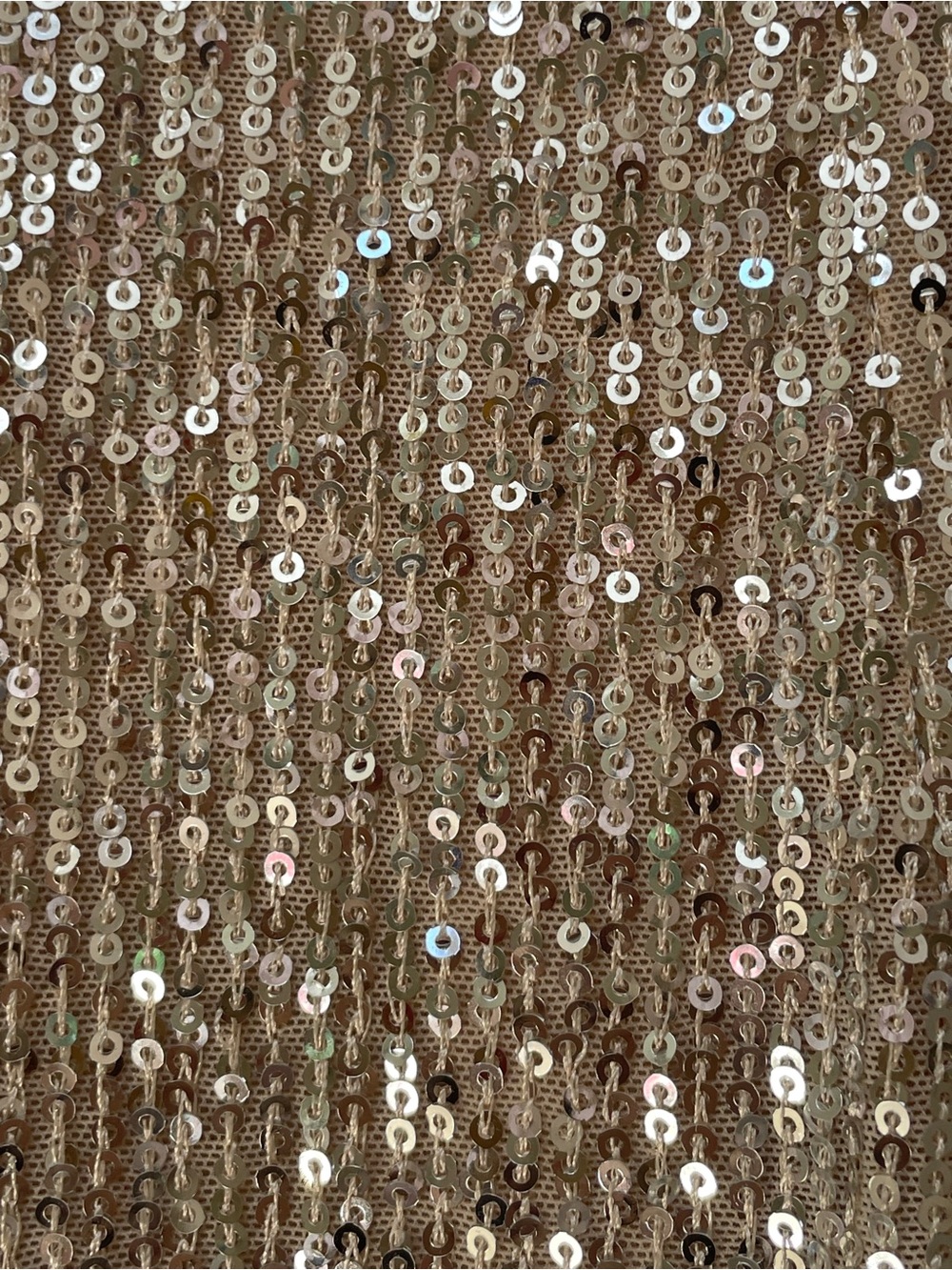 Sequin Wide-Leg Pants- Champagne - Picture 2 of 14